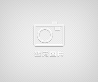 信达电子监控器材-摄像机-LG系列