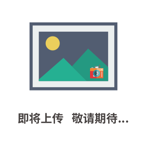 深圳市音赛电子有限公司